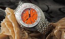 Doxa
