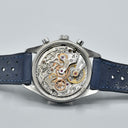 ROLEX DAYTONA TROPICAL REGISTERS REF. 6262 STAINLESS STEEL