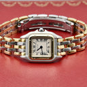 CARTIER MINI PANTHERE REF. 66921 STAINLESS STEEL AND GOLD